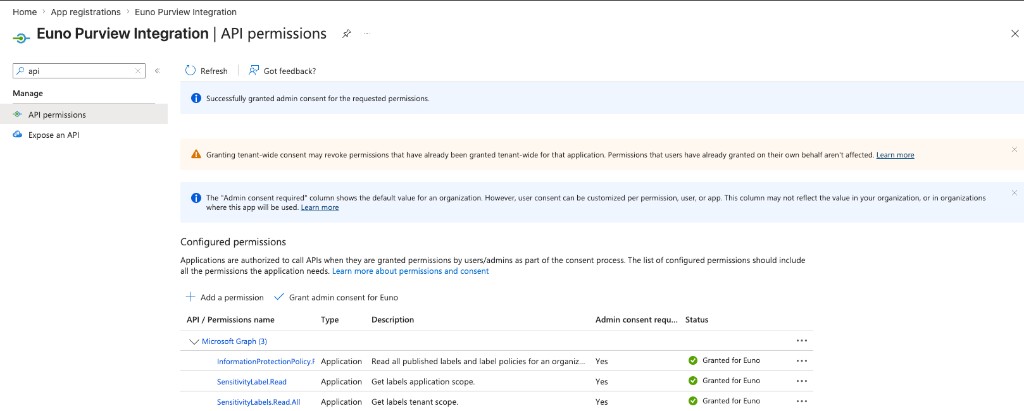 API permissions after admin consent: all required Application permissions show Granted for [your organization]